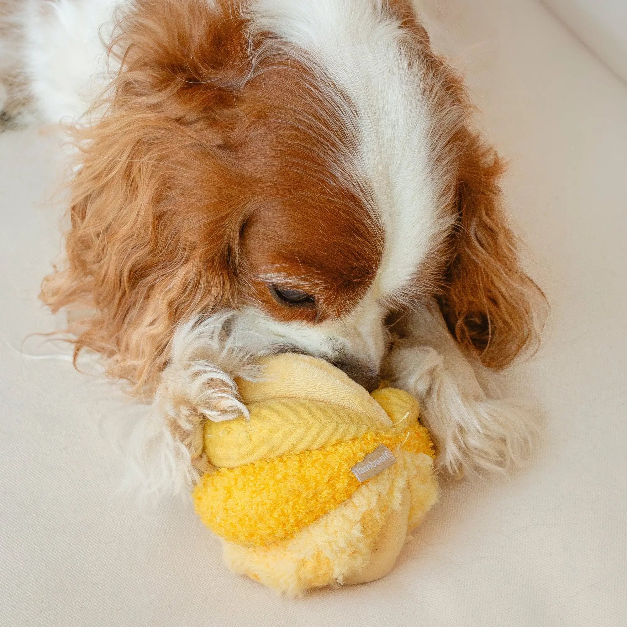 TOTO silent snuffle ball