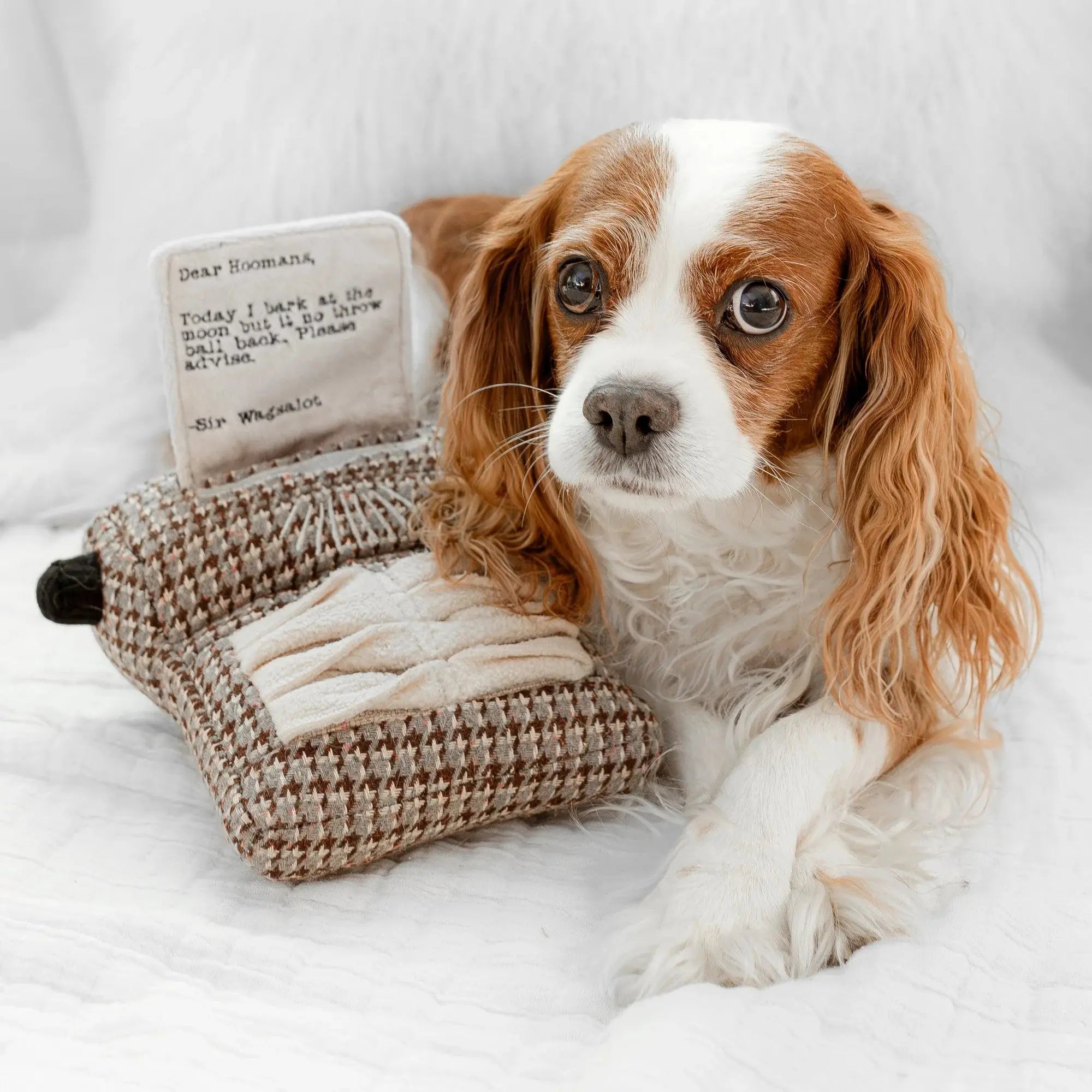 Typewriter snuffle + squeaky