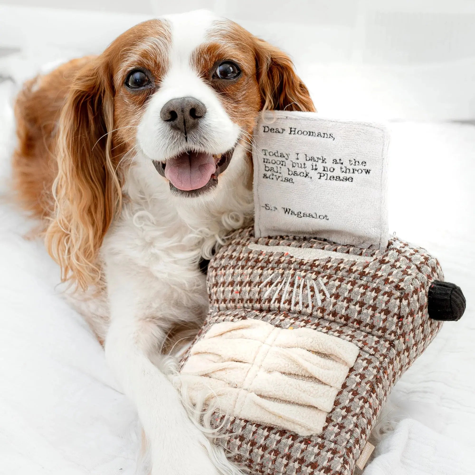 Typewriter snuffle + squeaky