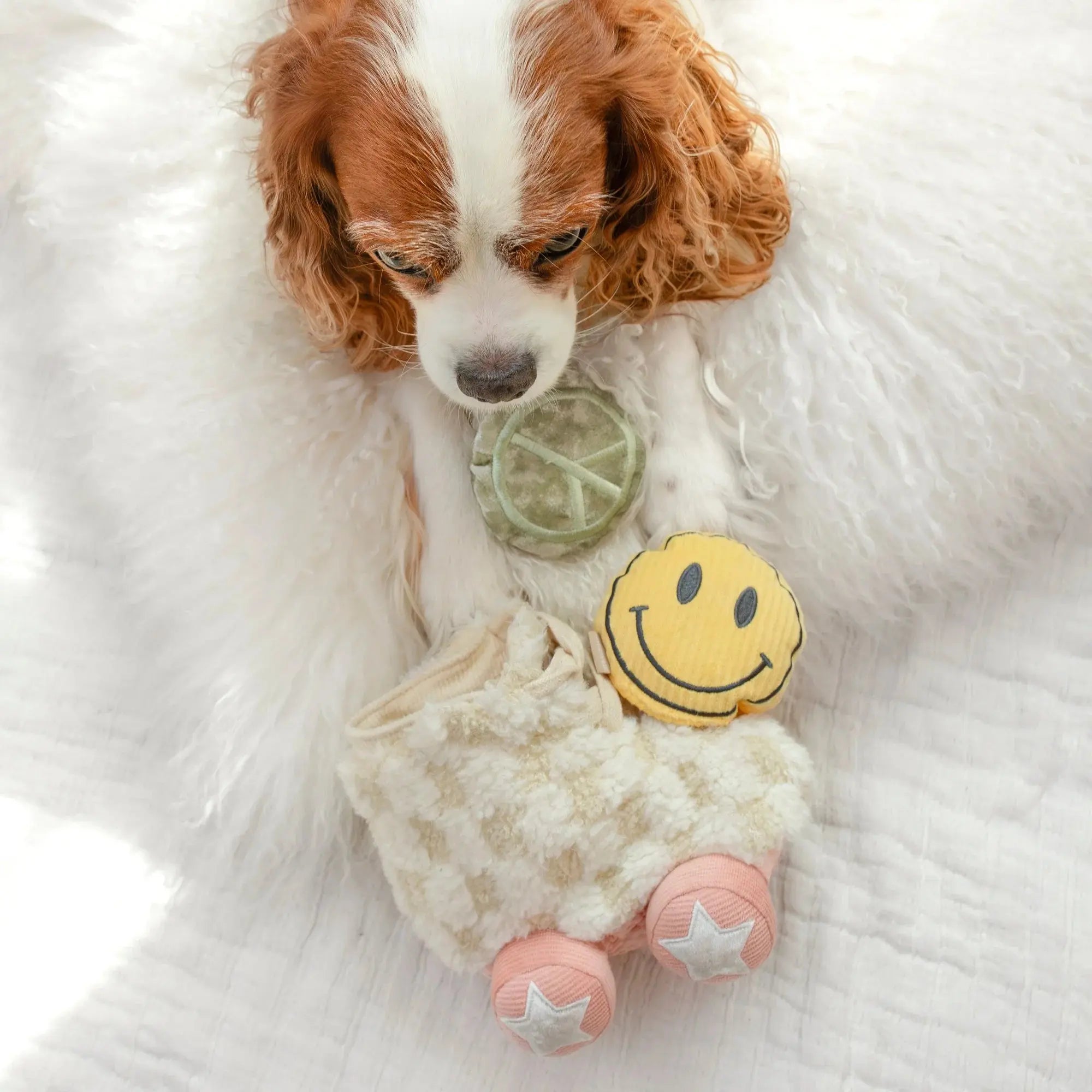 Roller Skate Burrow + Crinkle