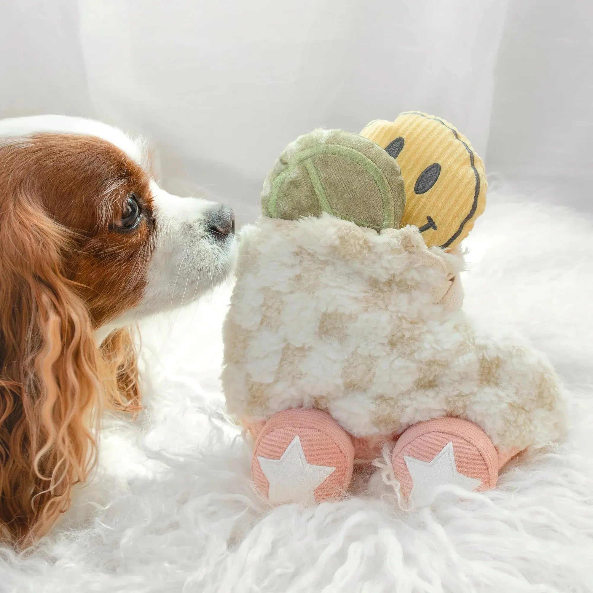 Roller Skate Burrow + Crinkle