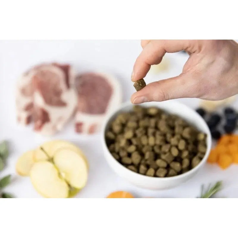 YDOLO - Iberico - Wieprzowina Iberico 100g - Karma półwilgotna dla psa YDOLO