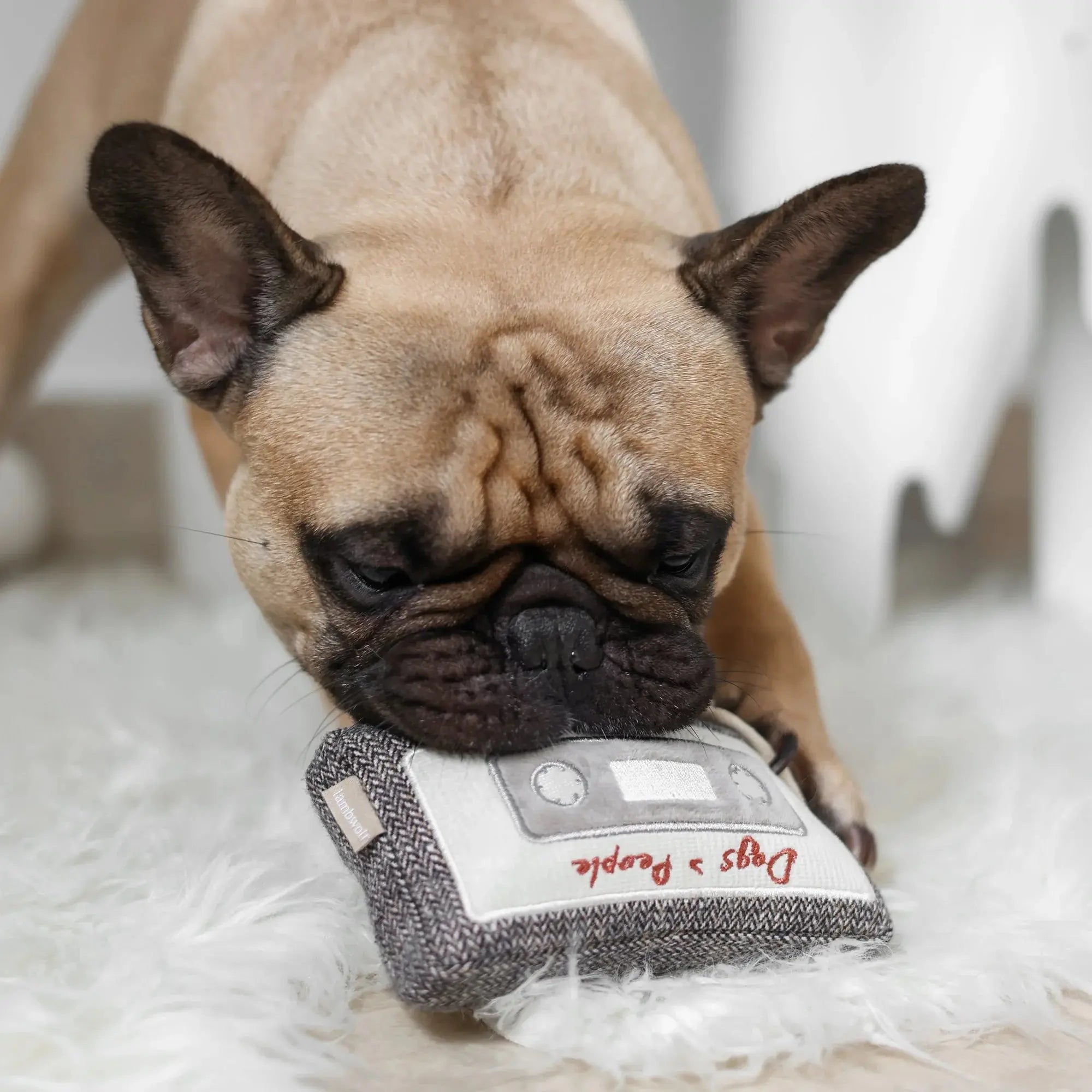 CASSETTE snuffle + squeaky