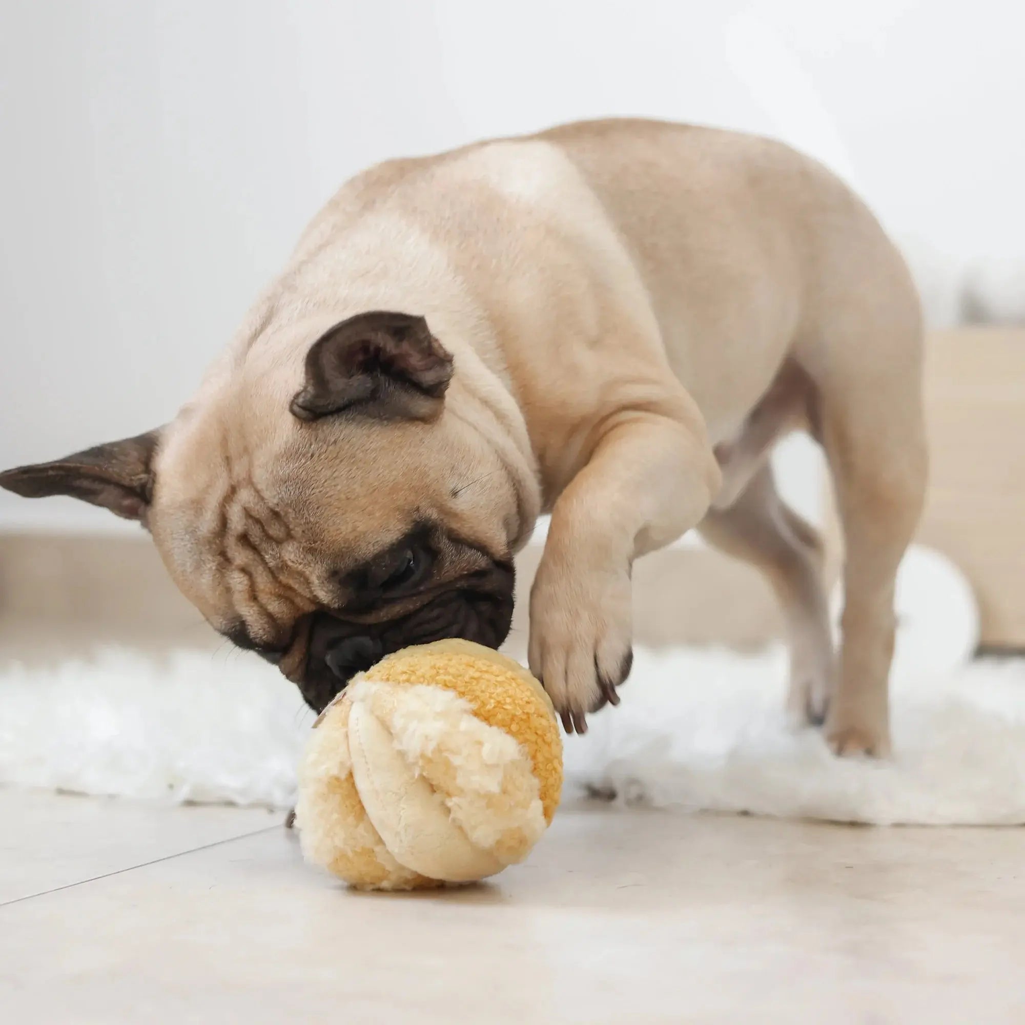 TOTO silent snuffle ball