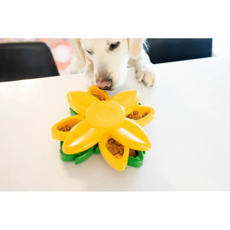 ZippyPaws Smarty Paws miska spowalniająca - sunflower ZippyPaws